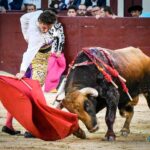 Madrid, jueves 4 de julio de 2019