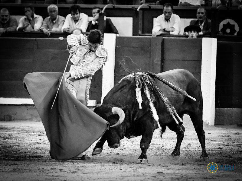 Madrid, jueves 18 de julio de 2019.