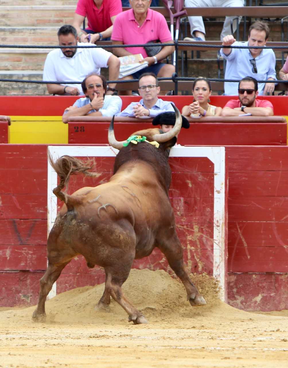 Valencia. Viernes 26 de julio de 2019