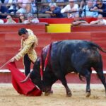 Valencia. Sábado 27 de julio de 2019