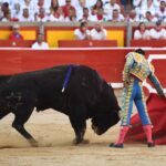 Pamplona. Miércoles 10 de julio de 2019. Feria de San Fermín. Toros de Jandilla y Vegahermosa para Diego Urdiales, Sebastián Castella y Roca Rey