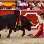 Pamplona. Domingo 7 de julio de 2019