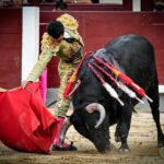 Madrid. Jueves 11 de julio de 2019