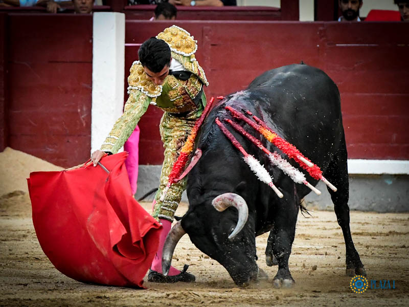 Madrid. Jueves 11 de julio de 2019