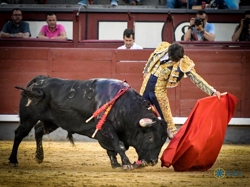 Madrid. Jueves 11 de julio de 2019