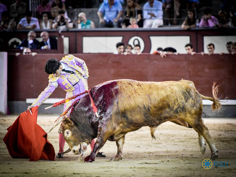 Madrid, jueves 18 de julio de 2019.