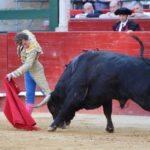 Valencia. Sábado 27 de julio de 2019