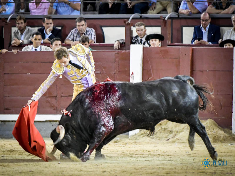Madrid, jueves 4 de julio de 2019
