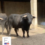 Sorteo. Santander, 21 de julio de 2019