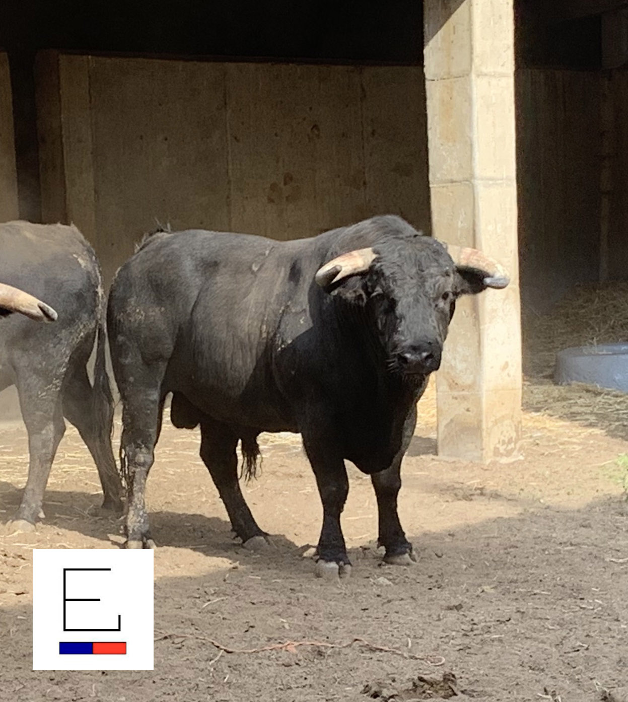 Sorteo. Santander, 21 de julio de 2019