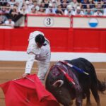 Santander. Jueves 25 de julio de 2019