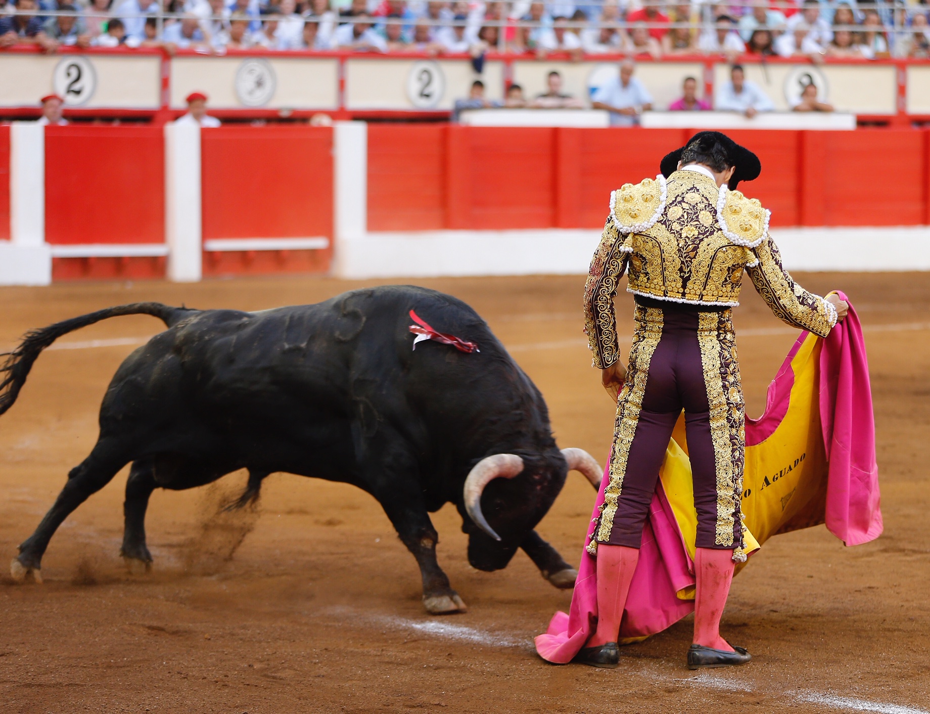Santander. Jueves 25 de julio de 2019