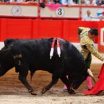 Santander. Viernes 26 de julio de 2019