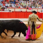 Santander. Viernes 26 de julio de 2019