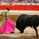 Santander. Viernes 26 de julio de 2019