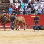 Valencia, domingo 14 de julio de 2019. Certamen de clases prácticas