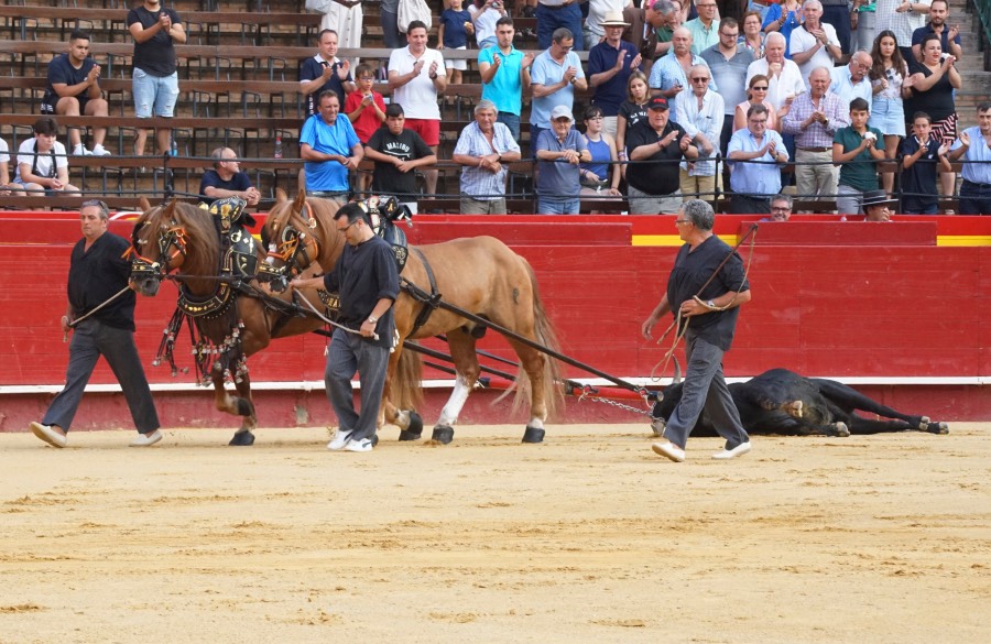 Valencia, domingo 14 de julio de 2019. Certamen de clases prácticas
