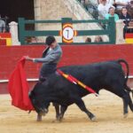 Valencia, domingo 14 de julio de 2019. Certamen de clases prácticas
