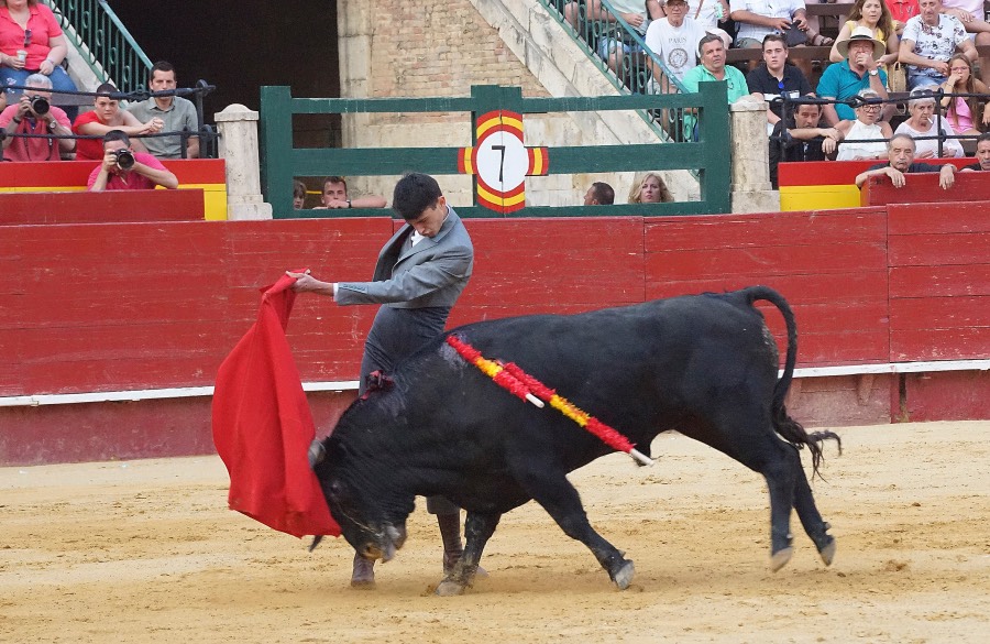 Valencia, domingo 14 de julio de 2019. Certamen de clases prácticas