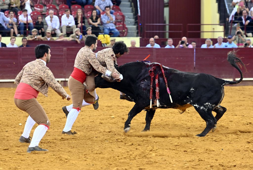 Lisboa. Jueves 25 de julio de 2019