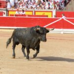Pamplona, viernes 12 de julio e 2019