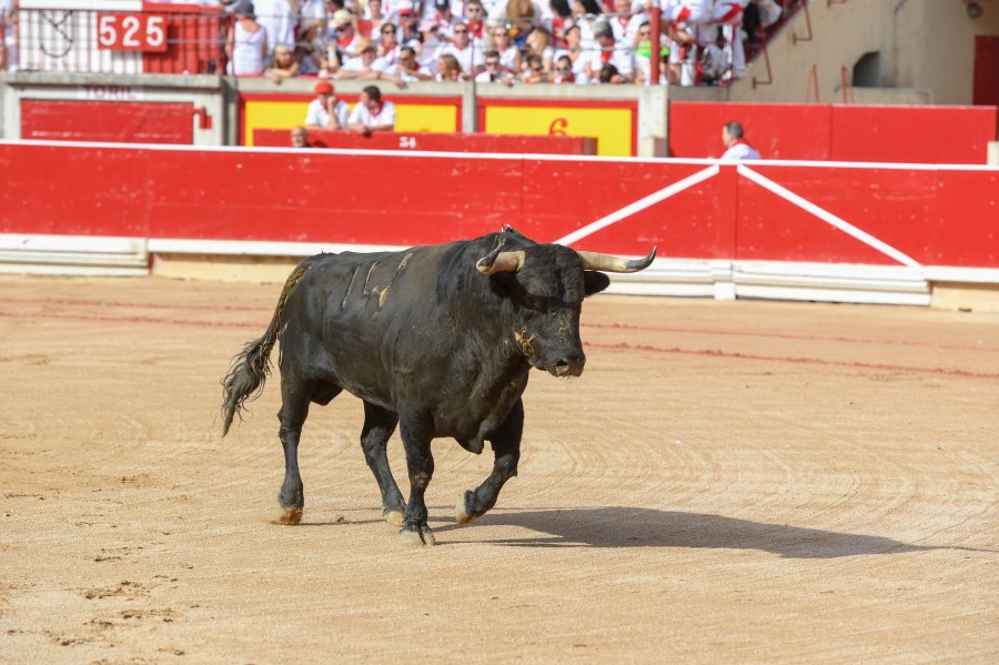 Pamplona, viernes 12 de julio e 2019