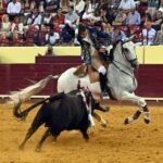 Lisboa. Jueves 25 de julio de 2019