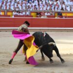 Pamplona, viernes 12 de julio e 2019