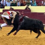 Lisboa. Jueves 25 de julio de 2019