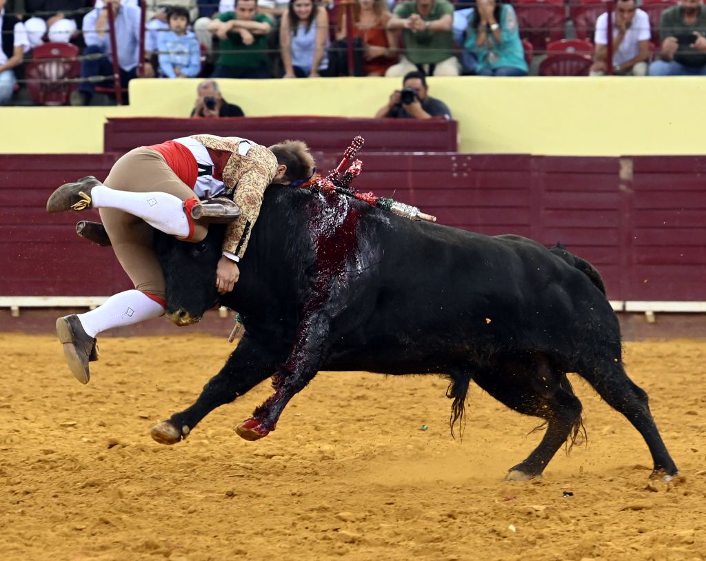 Lisboa. Jueves 25 de julio de 2019