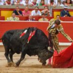 Pamplona, viernes 12 de julio e 2019