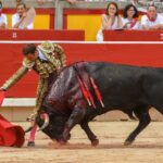 Pamplona, viernes 12 de julio e 2019