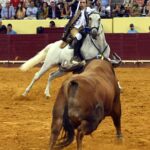 Lisboa. Jueves 25 de julio de 2019