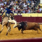 Lisboa. Jueves 25 de julio de 2019