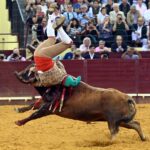 Lisboa. Jueves 25 de julio de 2019