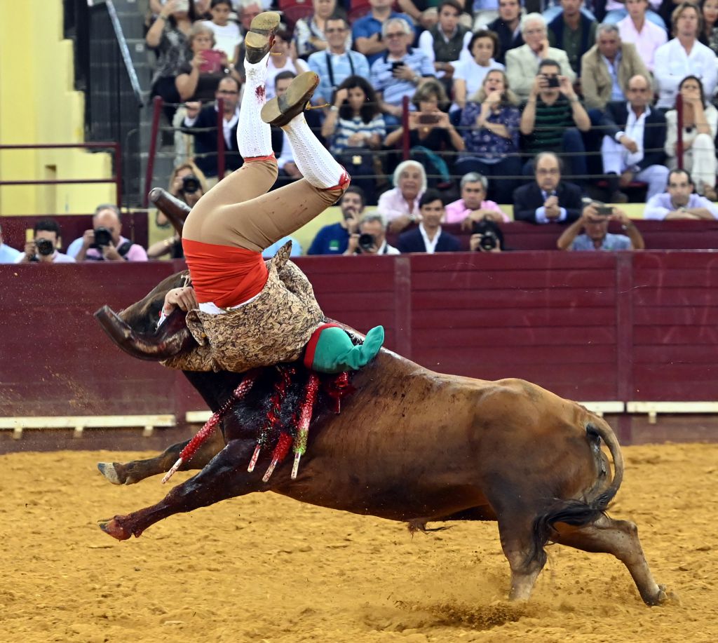 Lisboa. Jueves 25 de julio de 2019