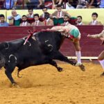 Lisboa. Jueves 25 de julio de 2019