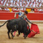 Pamplona, viernes 12 de julio e 2019