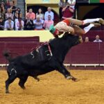 Lisboa. Jueves 25 de julio de 2019