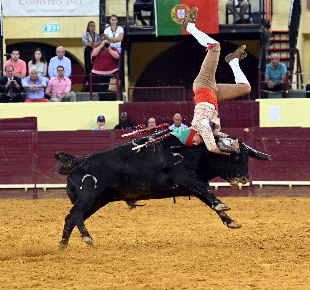 Lisboa. Jueves 25 de julio de 2019