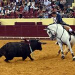 Lisboa. Jueves 25 de julio de 2019