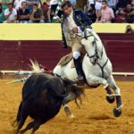 Lisboa. Jueves 25 de julio de 2019