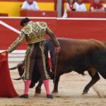 Pamplona, viernes 12 de julio e 2019