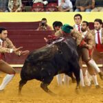 Lisboa. Jueves 25 de julio de 2019