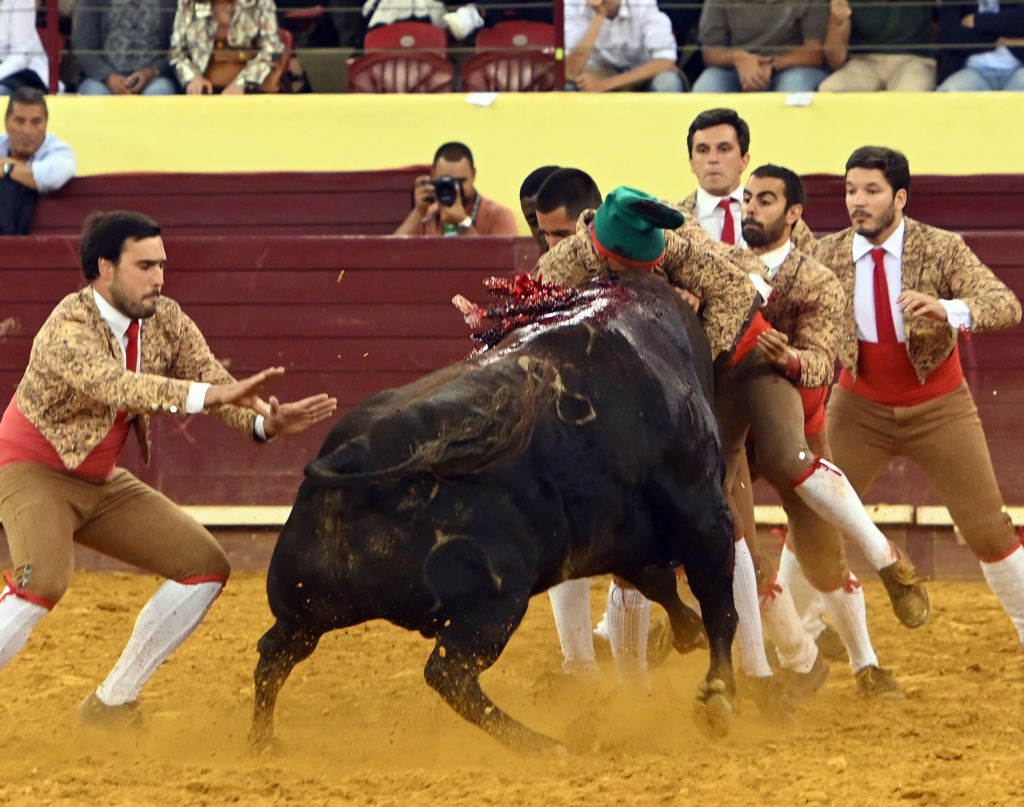 Lisboa. Jueves 25 de julio de 2019