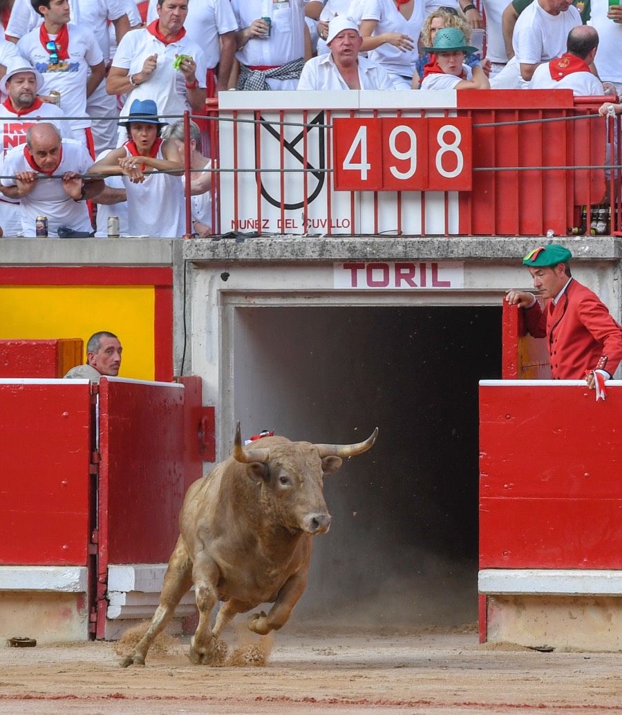 Pamplona, viernes 12 de julio e 2019