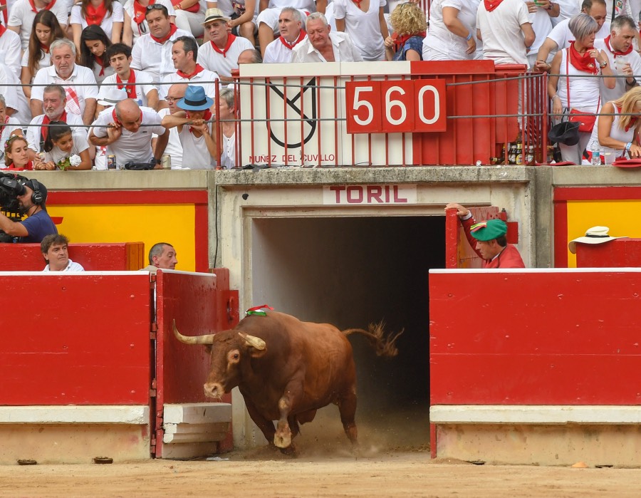 Pamplona, viernes 12 de julio e 2019