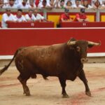 Pamplona, viernes 12 de julio e 2019