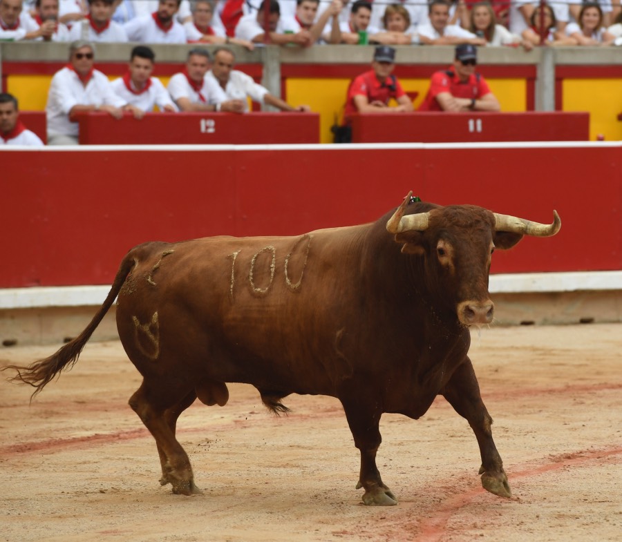 Pamplona, viernes 12 de julio e 2019