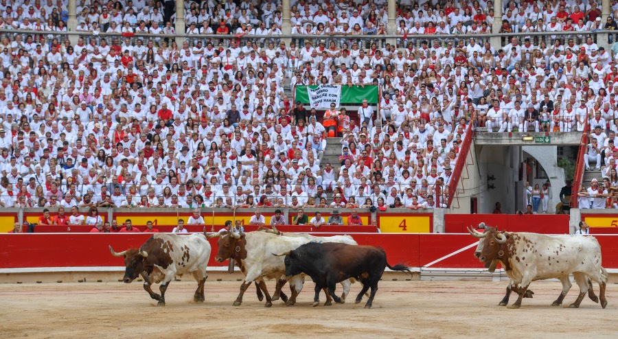 Pamplona, sábado 13 de julio de 2019
